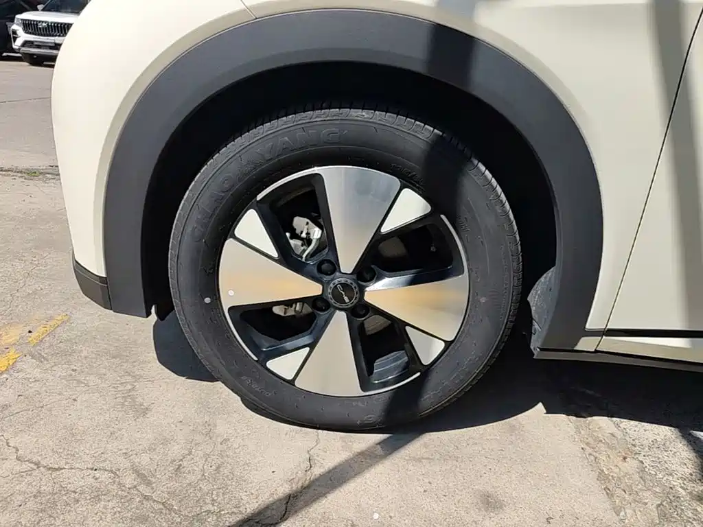 BYD Dolphin — миниатюра 25