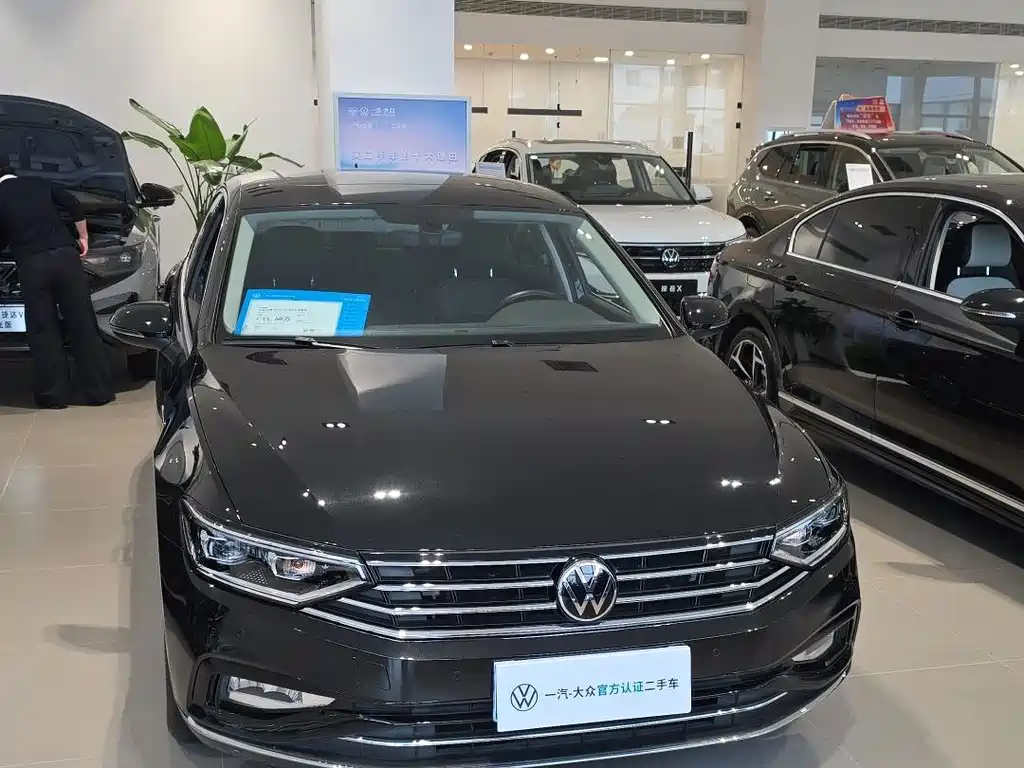 Volkswagen Magotan — миниатюра 2