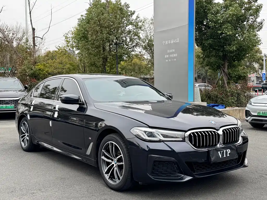BMW 5 Series — миниатюра 3