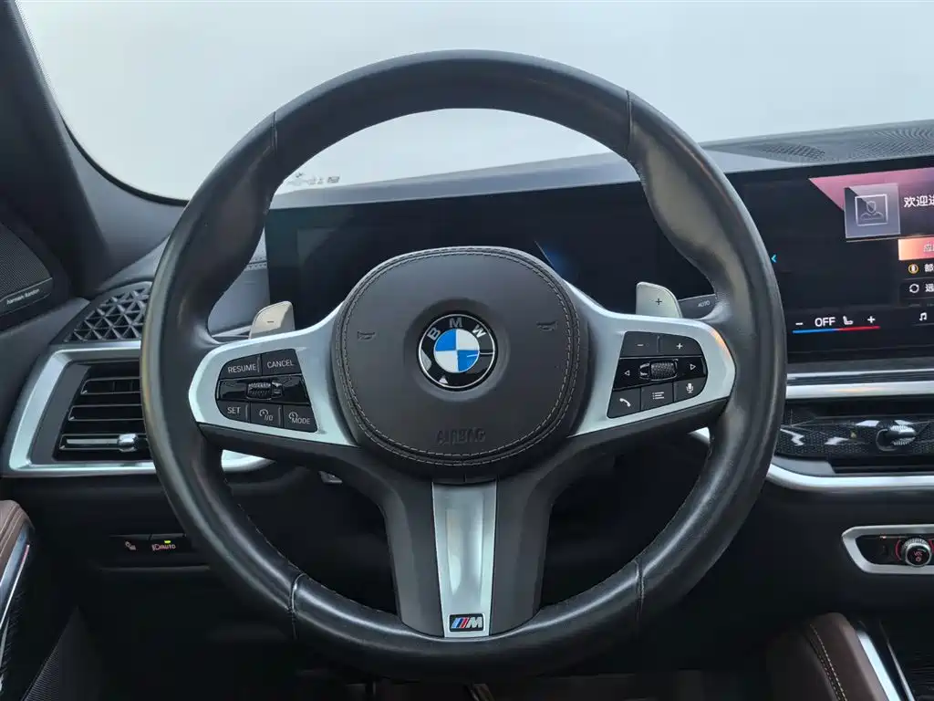 BMW X6 — миниатюра 14