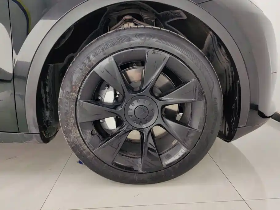 Tesla Model Y — миниатюра 6
