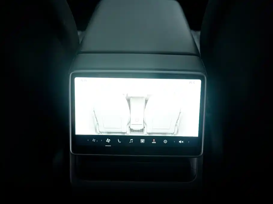 Tesla Model Y — миниатюра 19