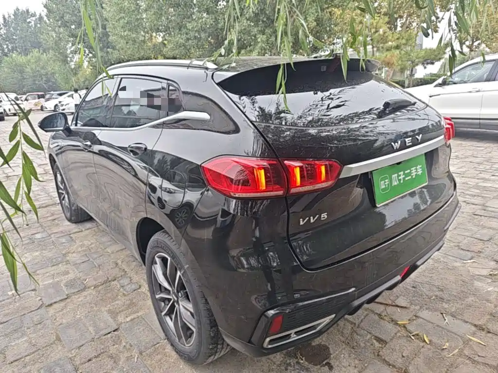 Wey Wey VV5 — миниатюра 5