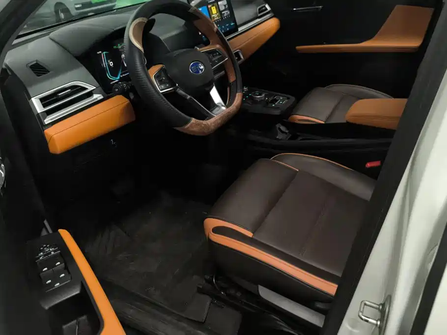 BYD e2 — миниатюра 9