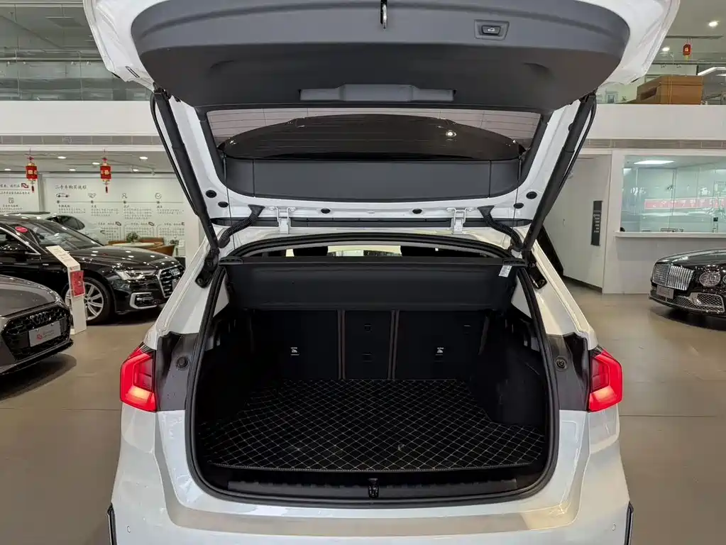 BMW X1 — миниатюра 20