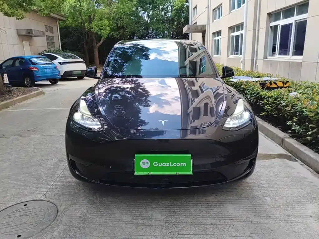Tesla Model Y — миниатюра 3