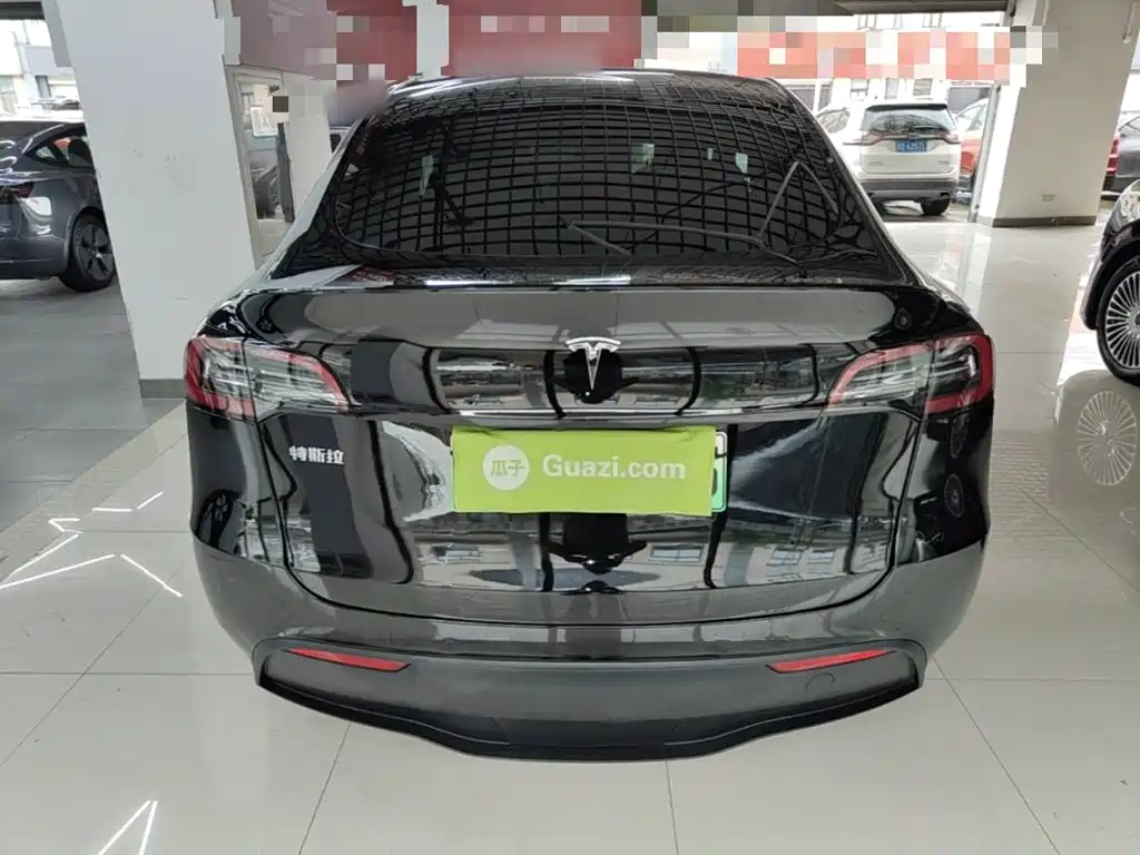Tesla Model Y — миниатюра 6