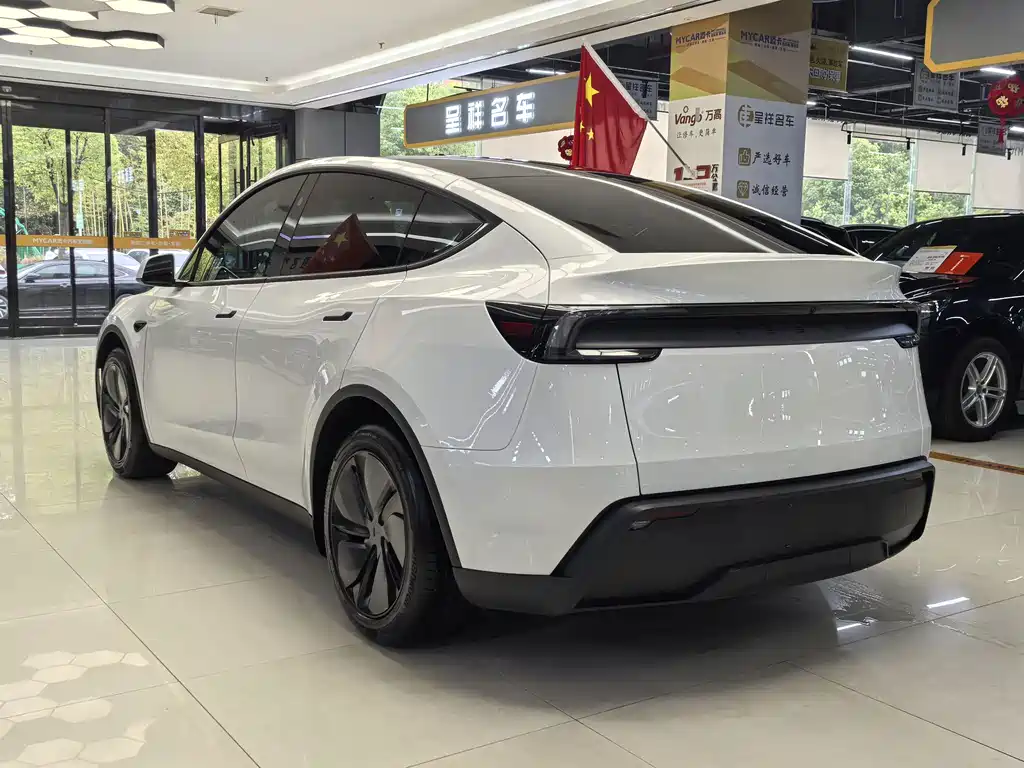 Tesla Model Y — миниатюра 12