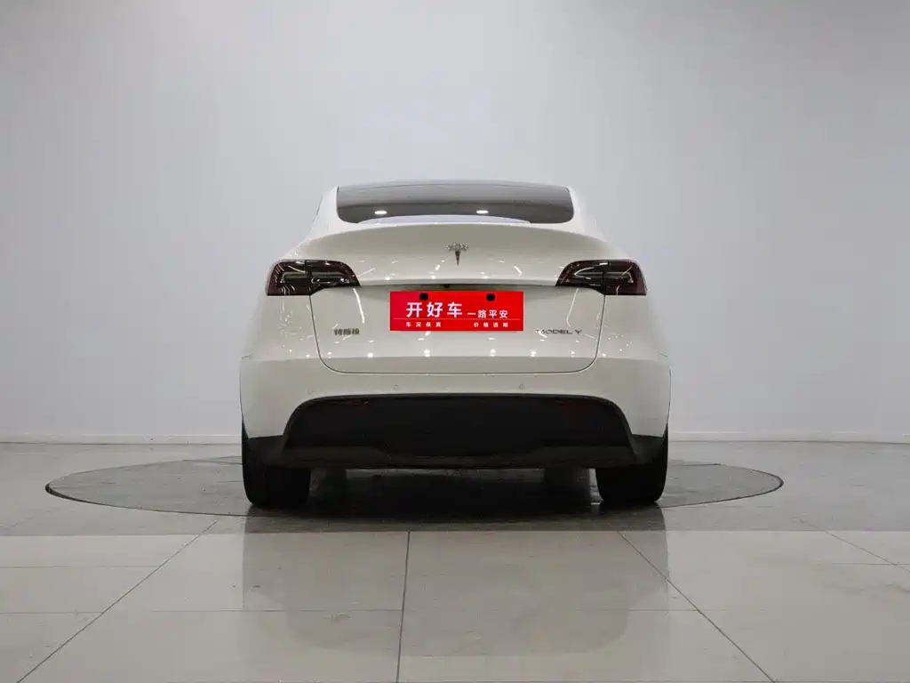 Tesla Model Y — миниатюра 5