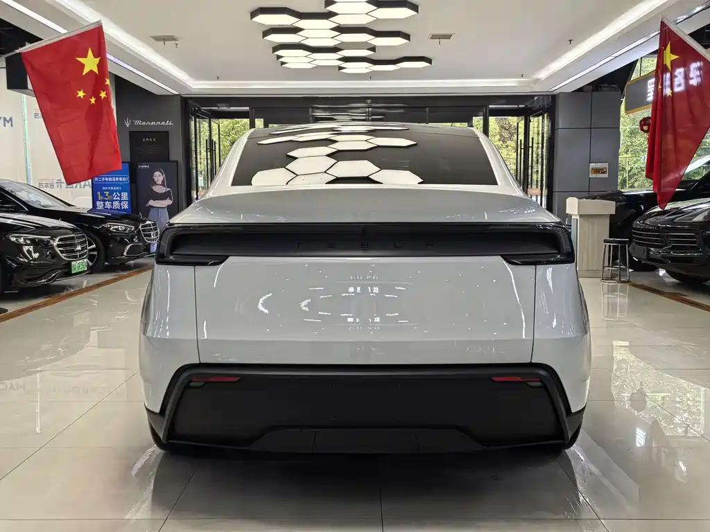 Tesla Model Y — миниатюра 13