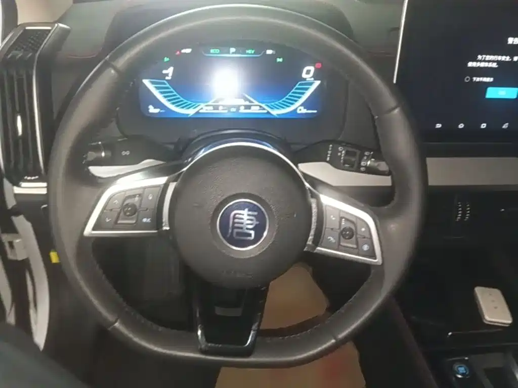 BYD Tang New Energy — миниатюра 11