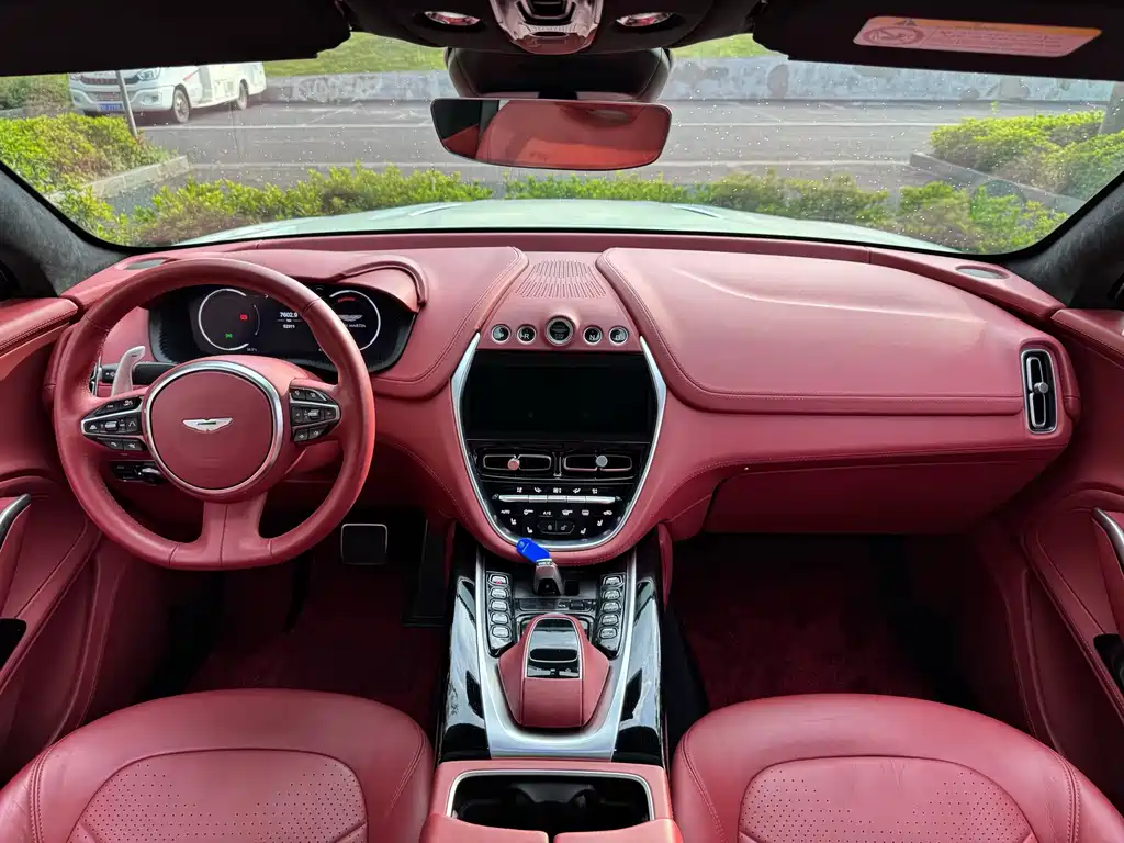 Aston Martin DBX — миниатюра 17