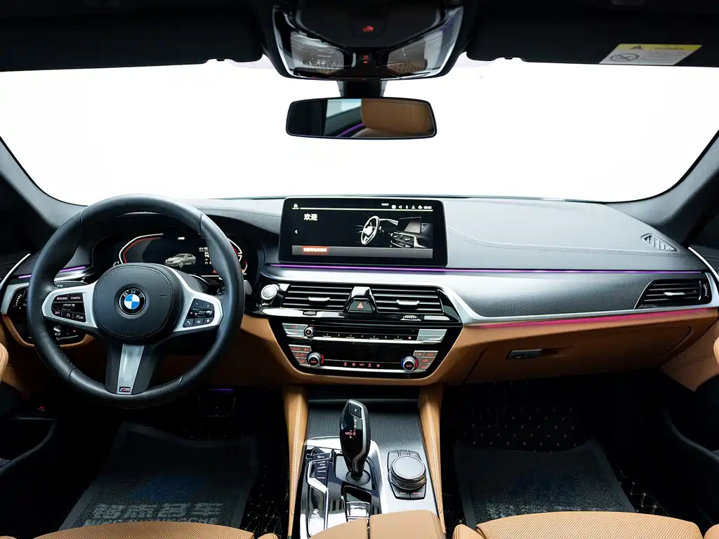 BMW 5 Series (Import) — миниатюра 16