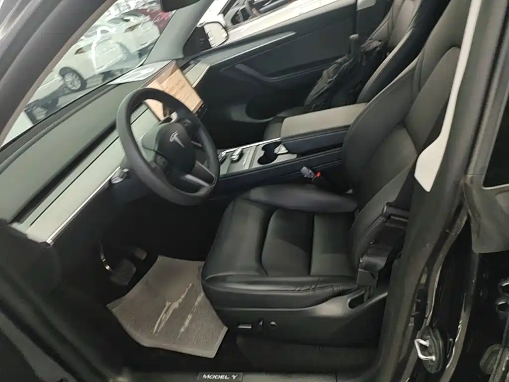 Tesla Model Y — миниатюра 15