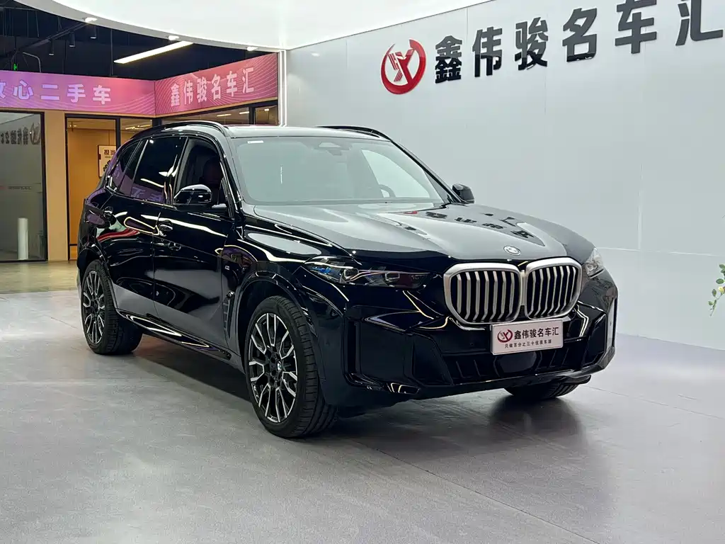 BMW X5 — миниатюра 3