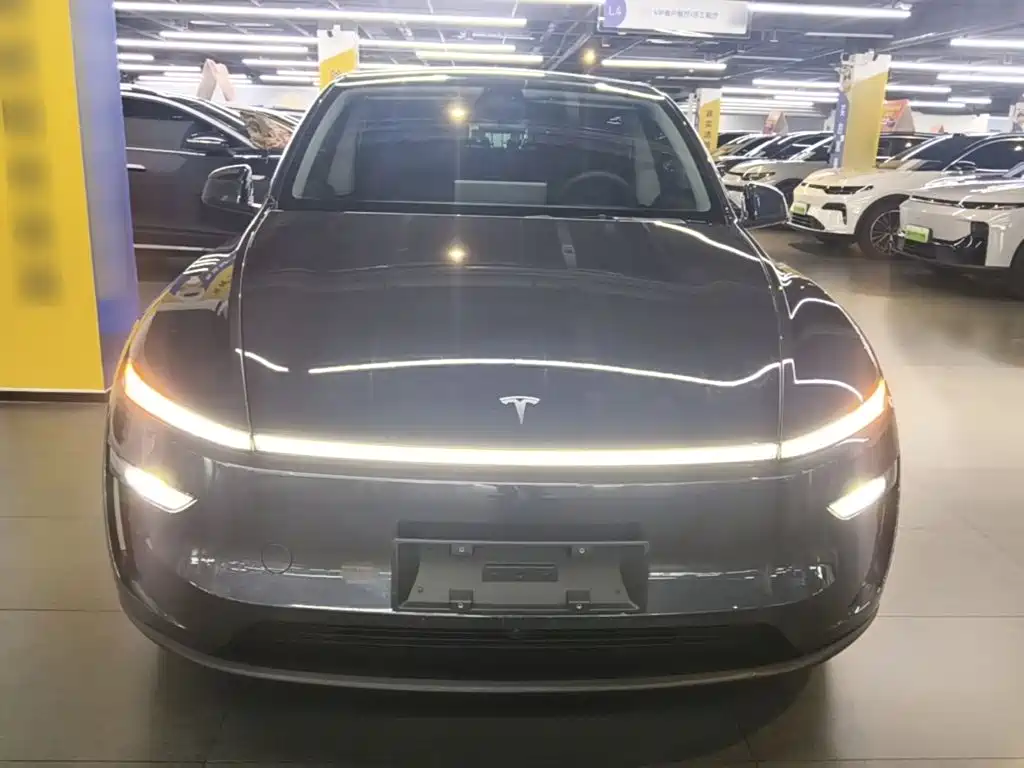 Tesla Model Y — миниатюра 3