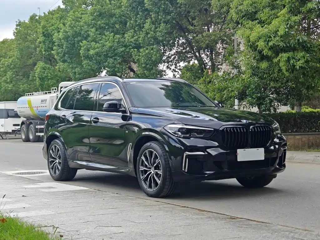 BMW X5 — миниатюра 4