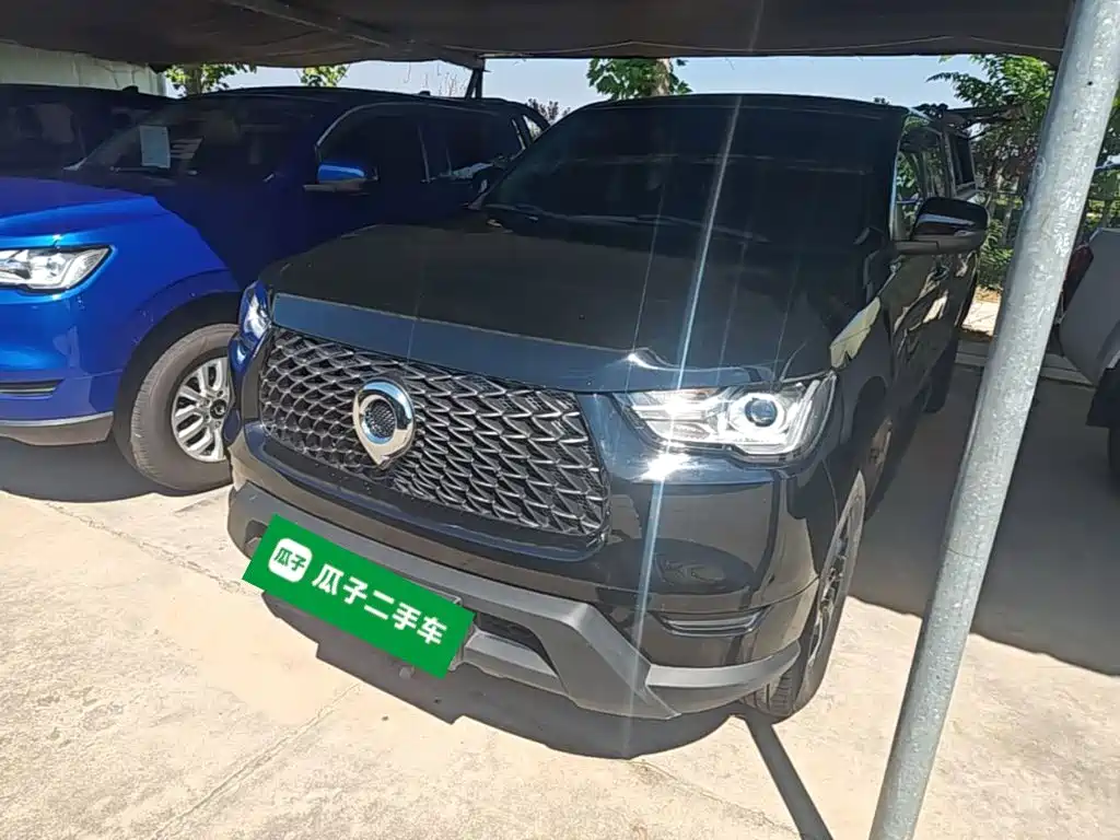 Great Wall Pao — миниатюра 2