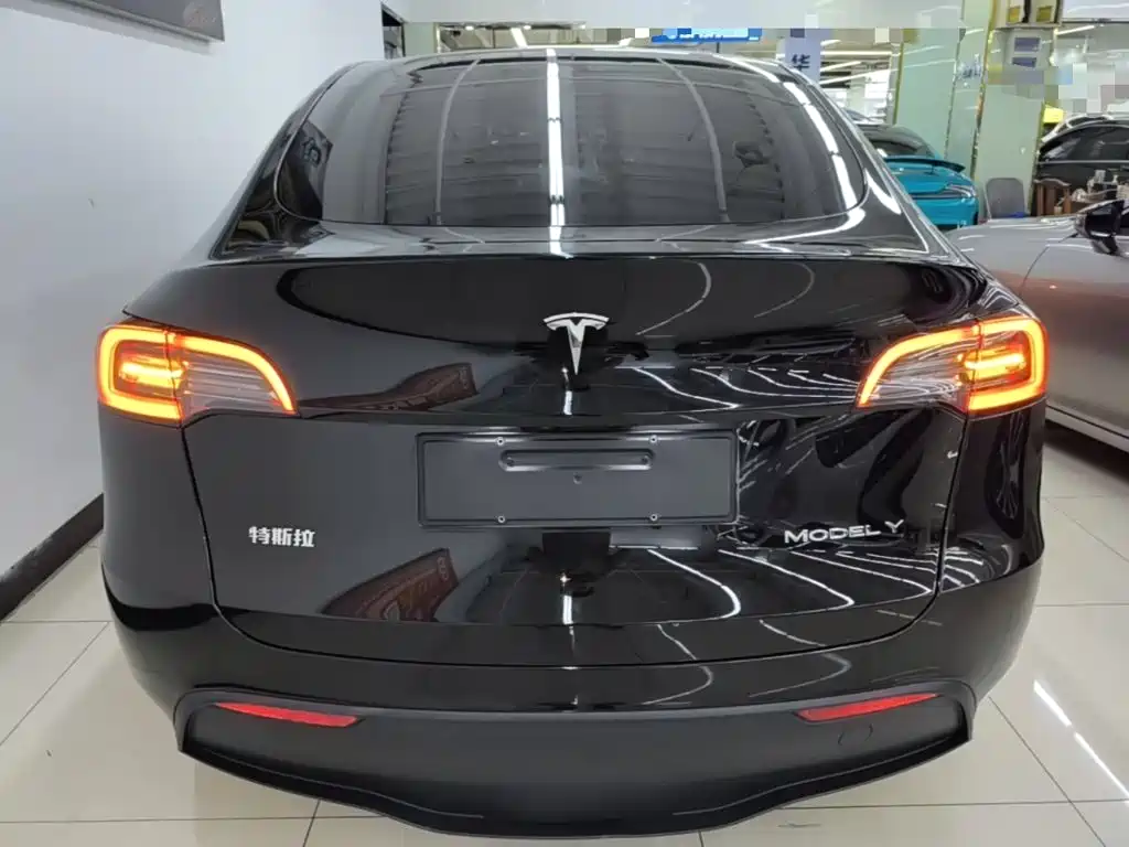Tesla Model Y — миниатюра 6