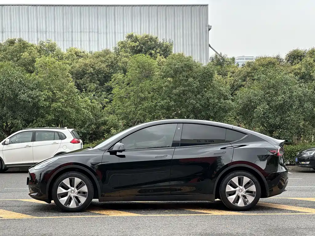 Tesla Model Y — миниатюра 7