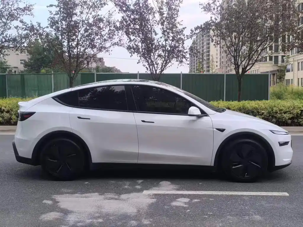 Tesla Model Y — миниатюра 4