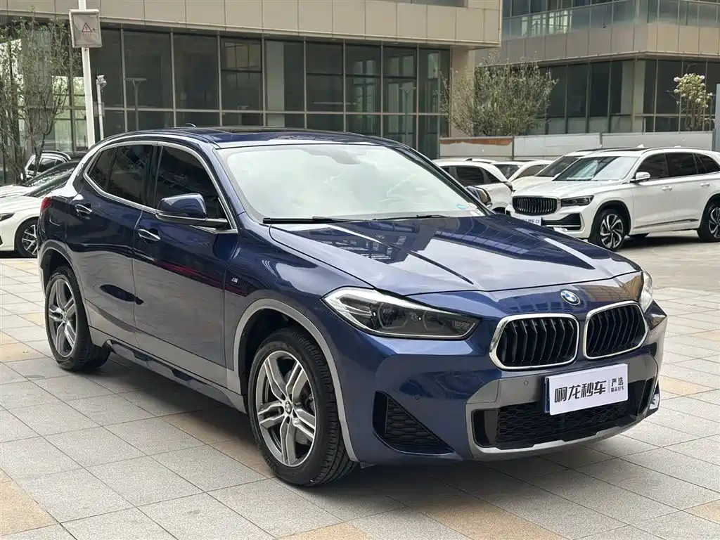 BMW X2 2020 sDrive25i Lead M