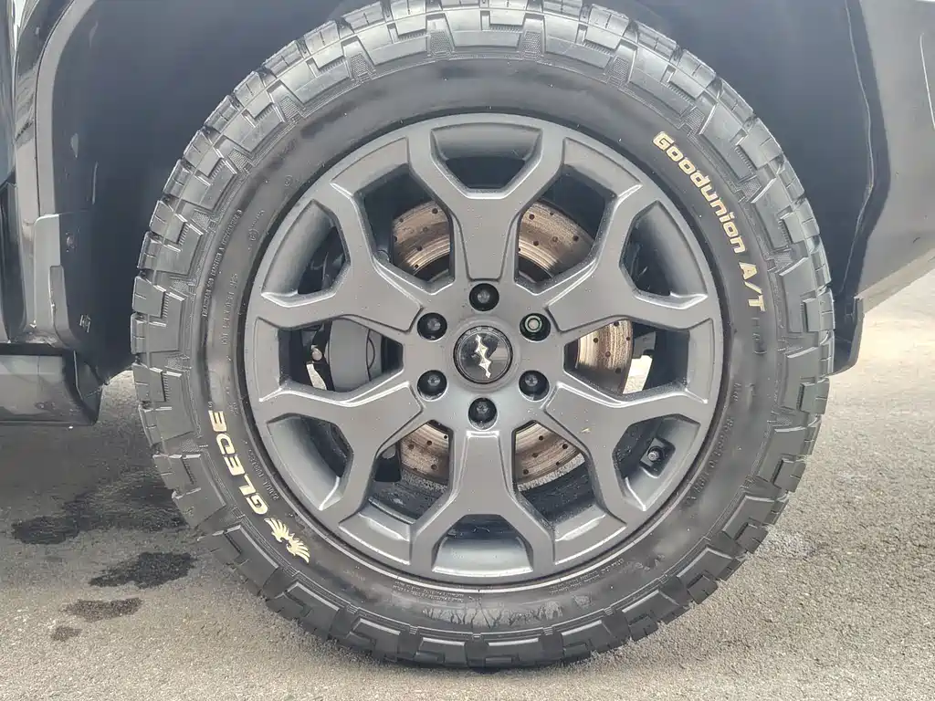 Fang Cheng Bao Leopard 5 — миниатюра 7