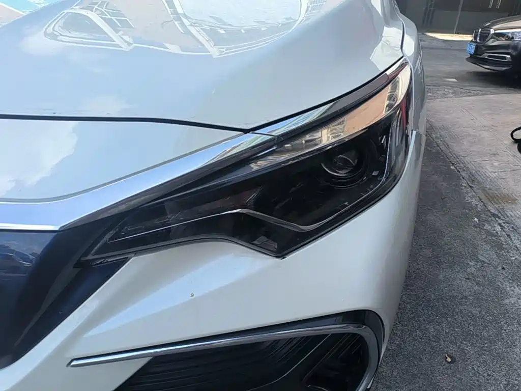 Venucia D60 EV — миниатюра 24