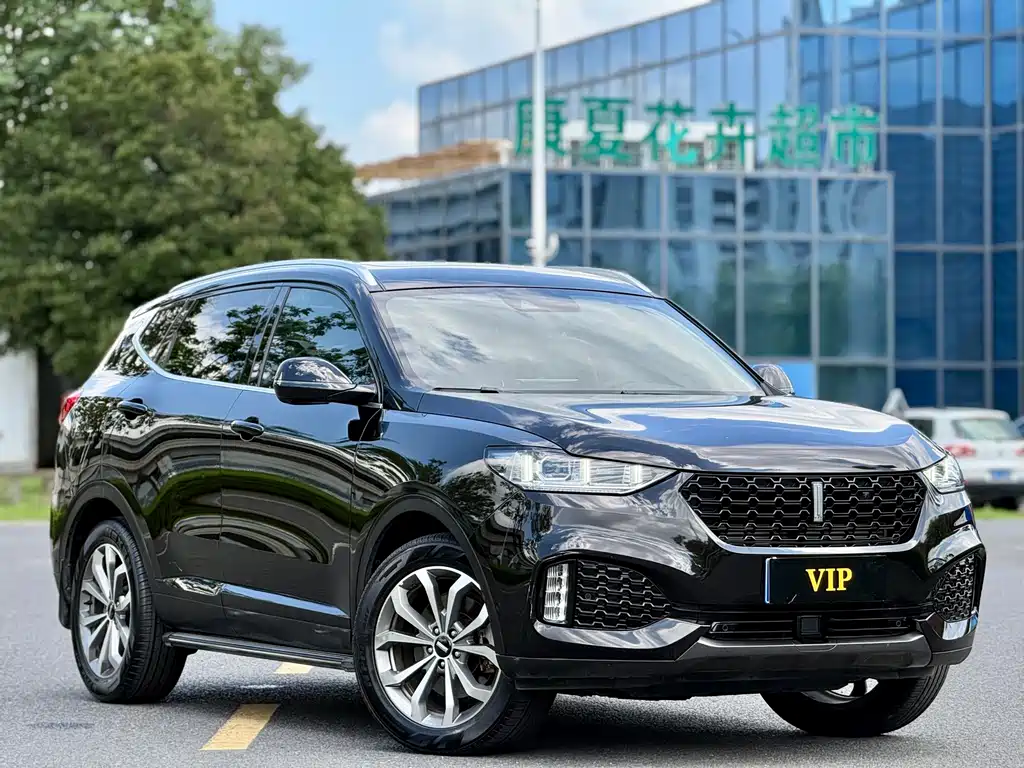 Wey Wey VV6 — миниатюра 3