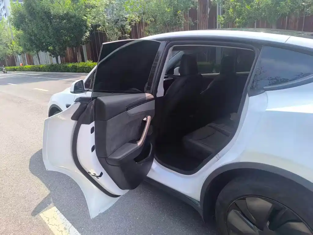 Tesla Model Y — миниатюра 13