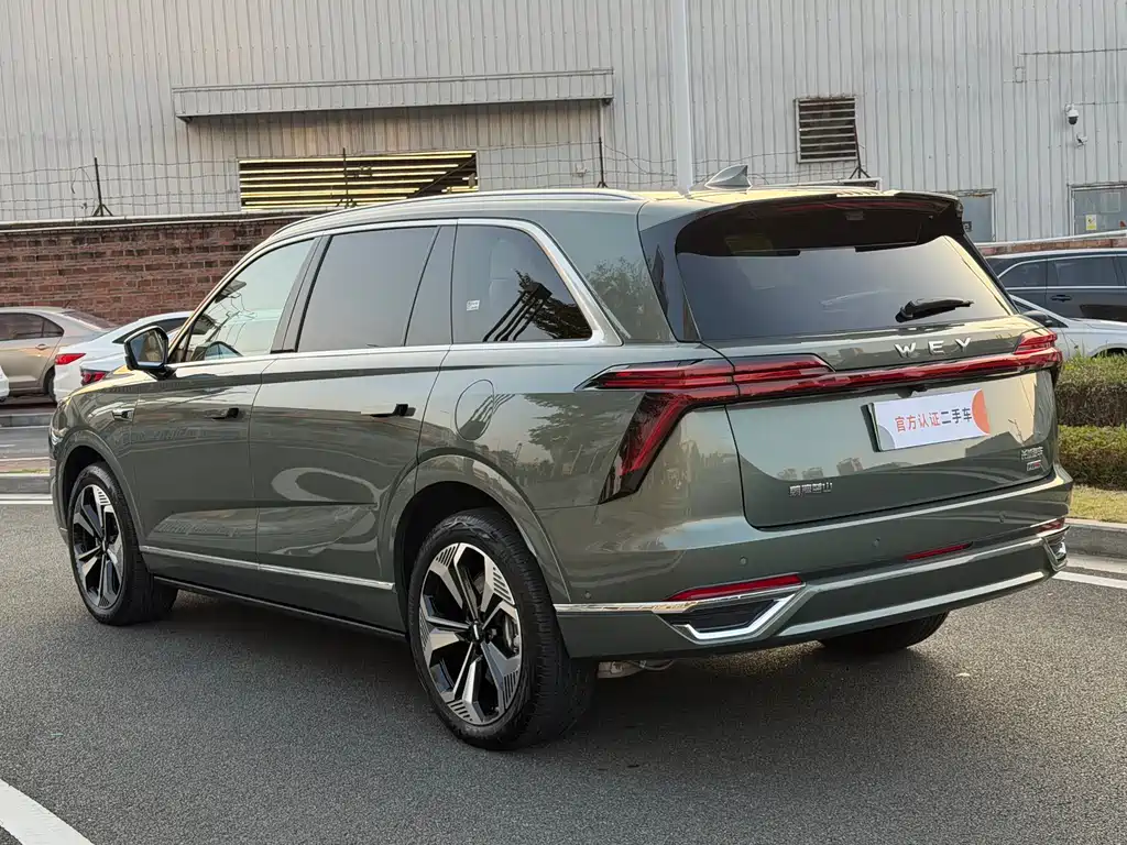 WEI PAI WEI BRAND BLUE MOUNTAIN