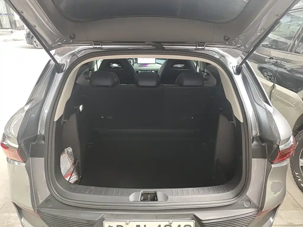 BYD Yuan Plus — миниатюра 19
