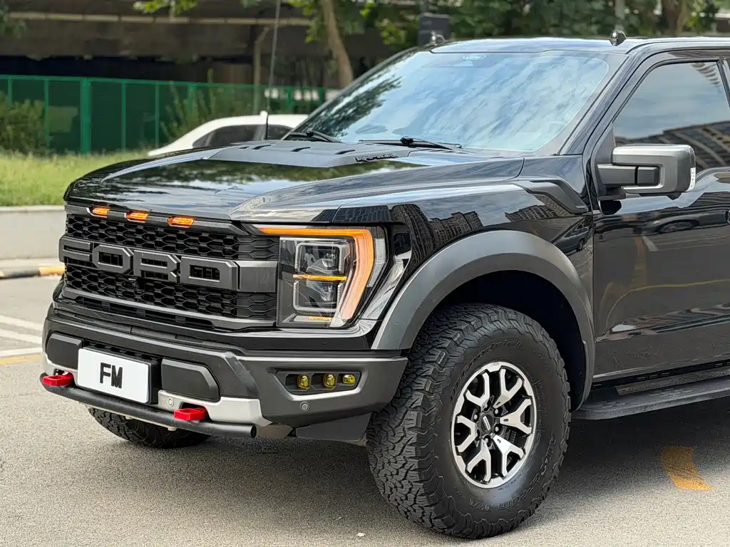 Ford F-150 Raptor — миниатюра 4