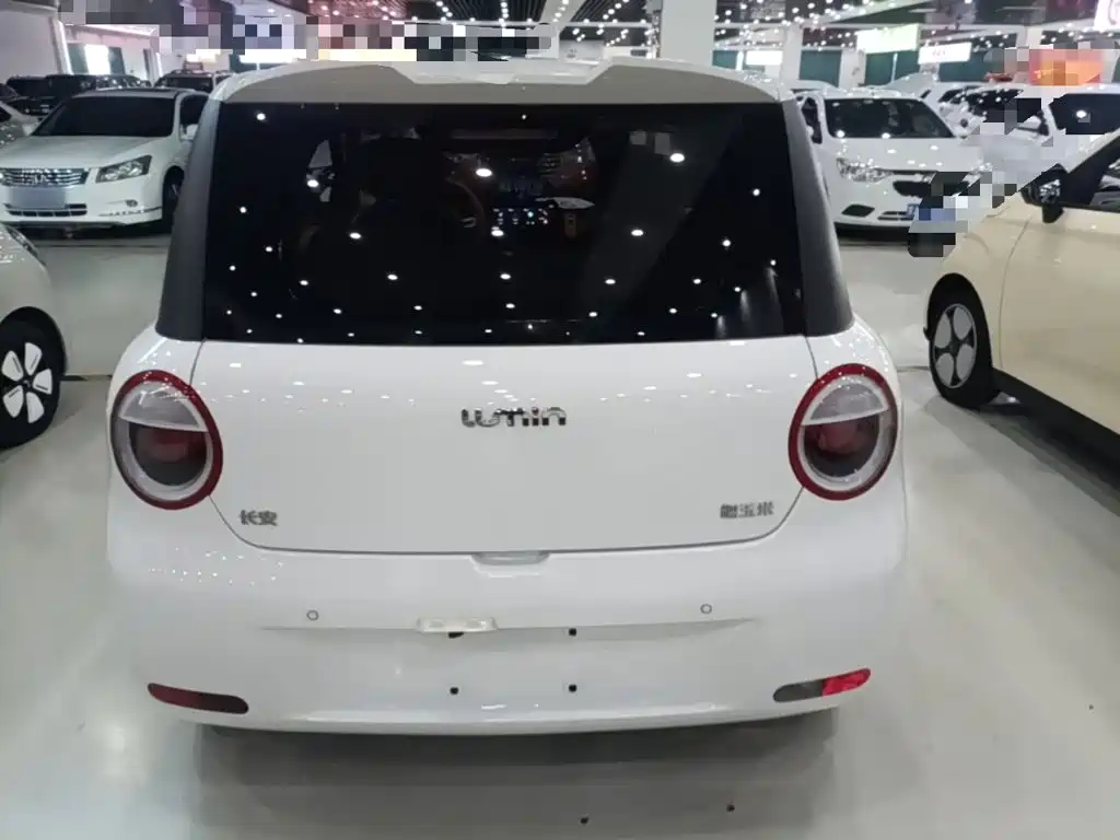 Qiyuan Lumin — миниатюра 6