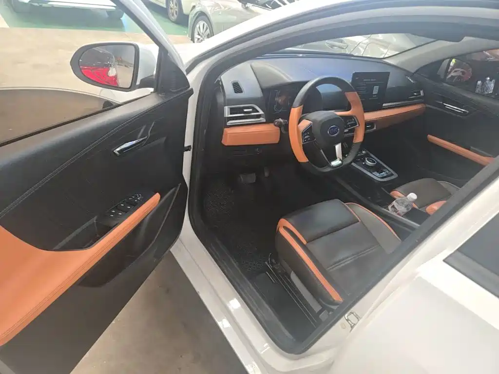 BYD e2 — миниатюра 16