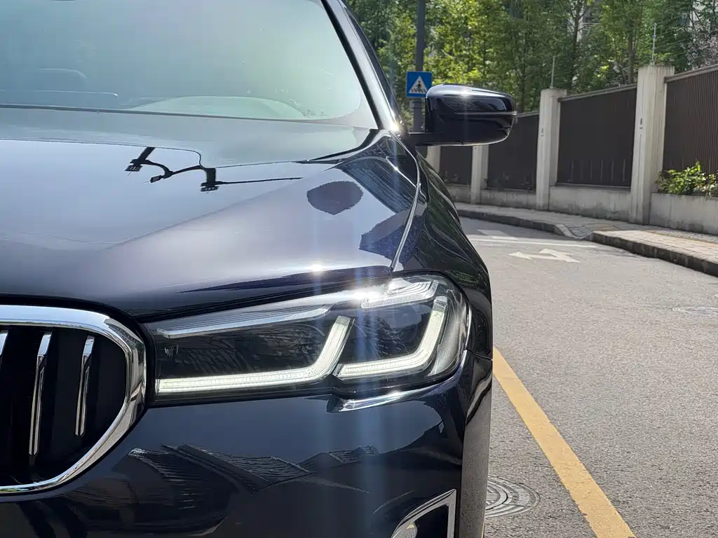BMW 5 Series 5 2021 525Li Luxury