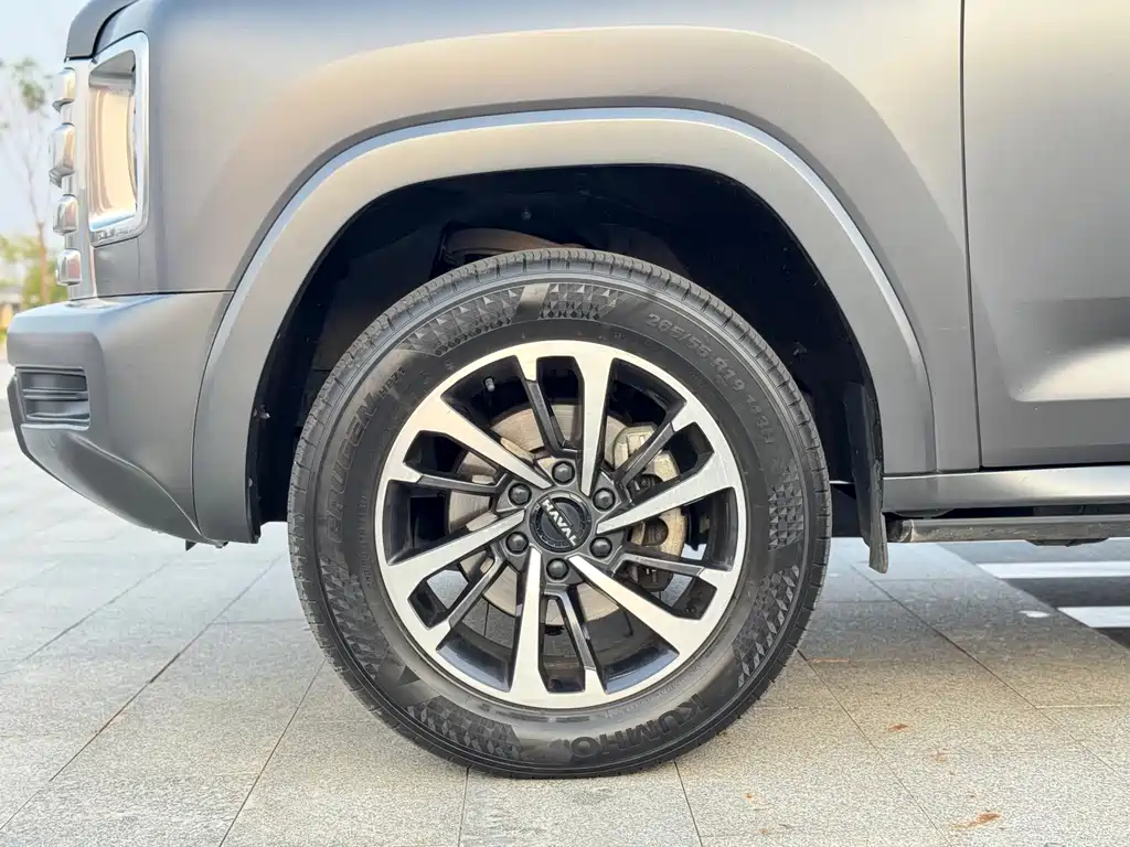 Haval H9 2.0T Gasoline 4WD Ultimate Realm Edition, фото 6