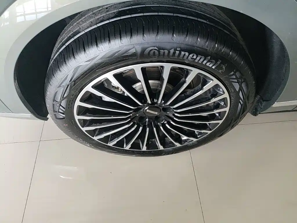 Wey Wey Lanshan — миниатюра 23
