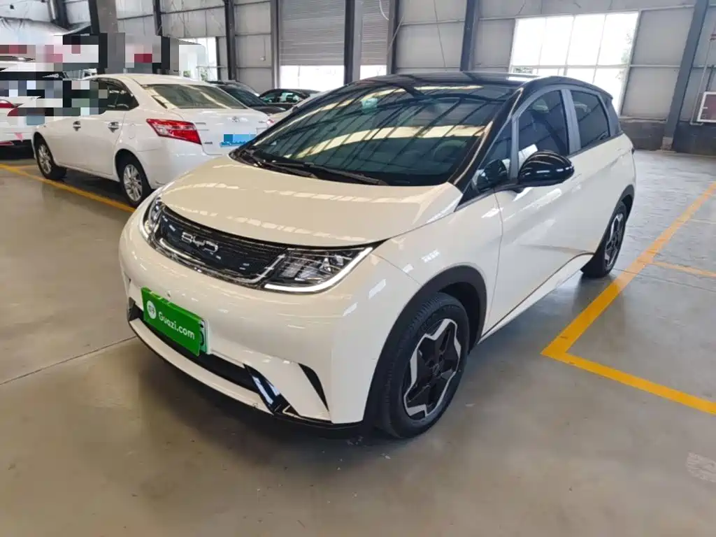 BYD Dolphin — миниатюра 2
