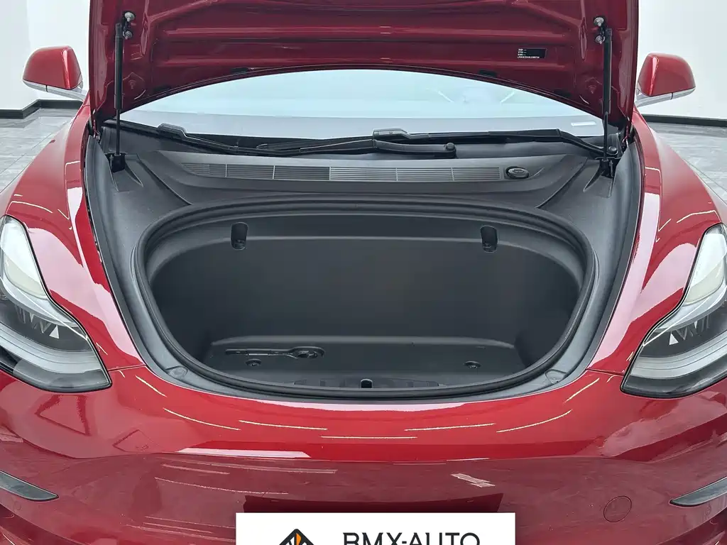 Tesla Model 3 — миниатюра 6