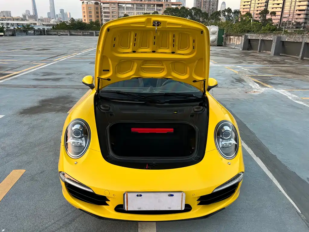 Porsche 911 — миниатюра 22