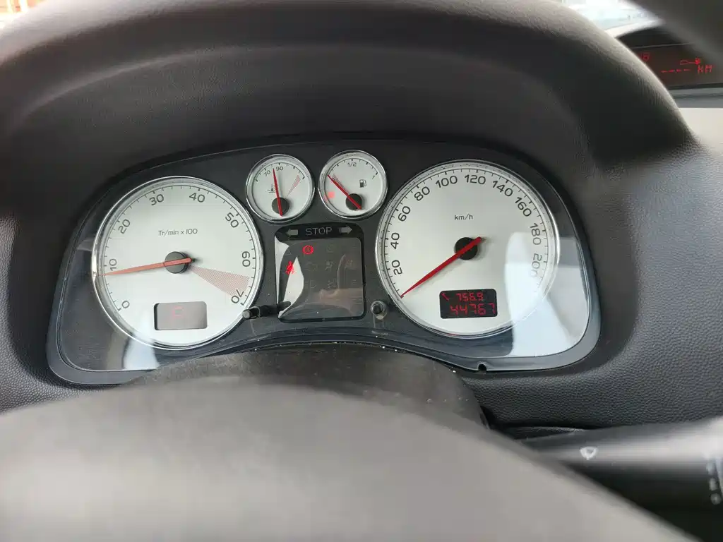 Peugeot 307 — миниатюра 12