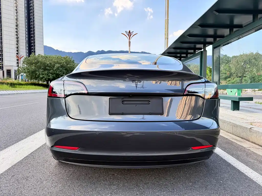 Tesla Model 3 — миниатюра 4