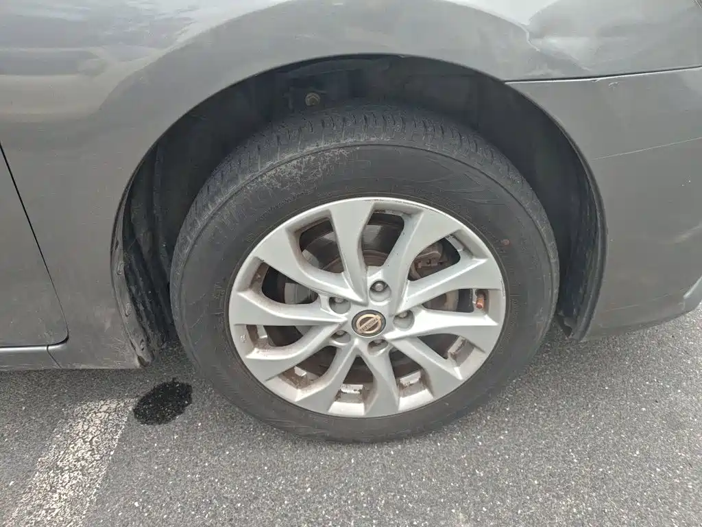 Nissan Sylphy — миниатюра 25