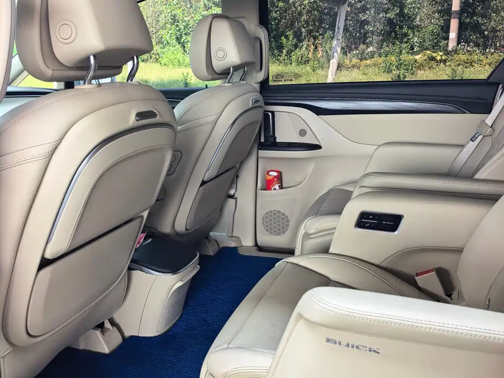 Buick GL8 2023 ES Luxury