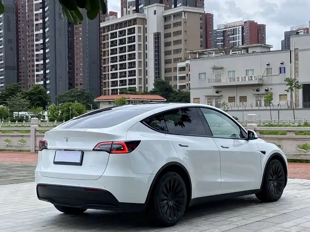 Tesla Model Y — миниатюра 9