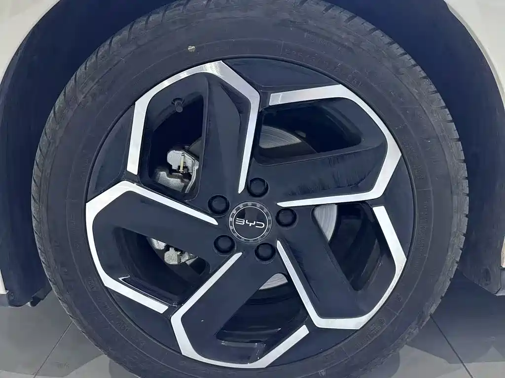 BYD Seal 06 — миниатюра 3