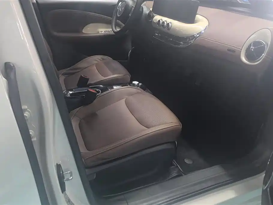Wuling Binguo 2023 333km +