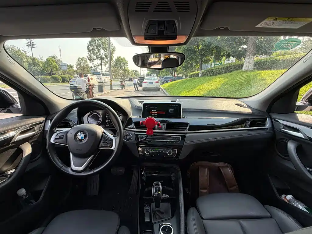 BMW X2 (Import) — миниатюра 13