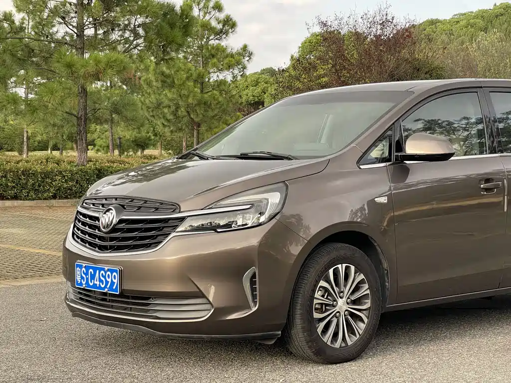 Buick GL8 — миниатюра 16